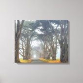 Cypress-Tunnel Leinwanddruck (Vorderseite)