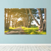 Cypress-Tunnel Leinwanddruck (Insitu (Holzboden))