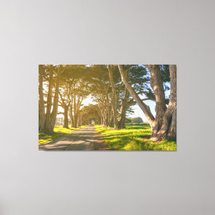 Cypress-Tunnel Leinwanddruck