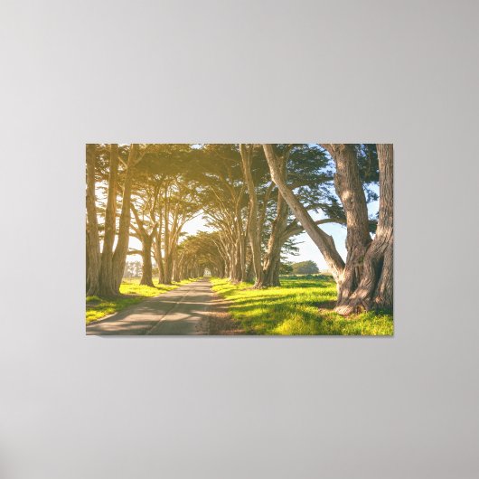 Cypress-Tunnel Leinwanddruck (Vorderseite)