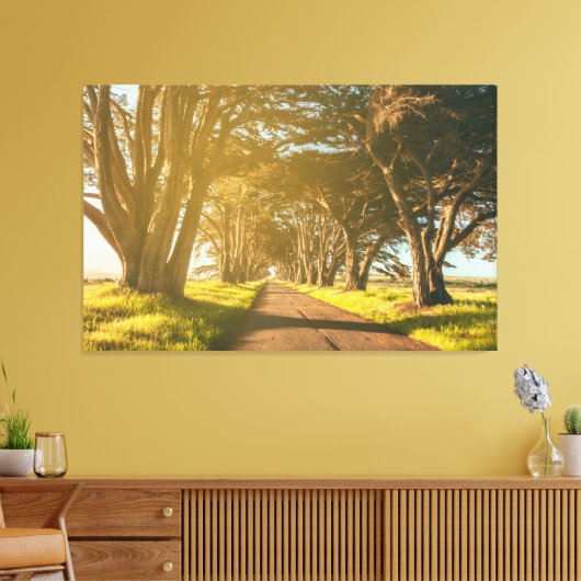 Cypress-Tunnel Leinwanddruck (Insitu (Wohnzimmer))