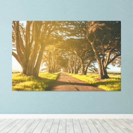 Cypress-Tunnel Leinwanddruck (Insitu (Holzboden))