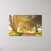 Cypress-Tunnel Leinwanddruck (Vorderseite)