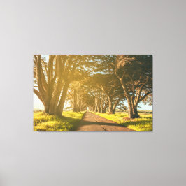 Cypress-Tunnel Leinwanddruck