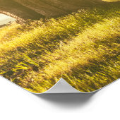Cypress Tunnel Point Reyes National Seashore Poster (Ecke)