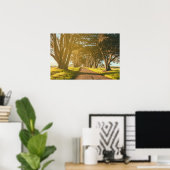 Cypress Tunnel Point Reyes National Seashore Poster (Heimbüro)