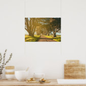 Cypress Tunnel Point Reyes National Seashore Poster (Küche)