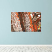 Cypress und Alga Leinwanddruck (Insitu (Holzboden))
