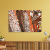 Cypress und Alga Leinwanddruck (Insitu (Wohnzimmer))