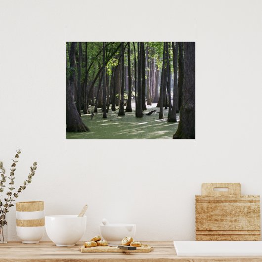 CypressSwampView Poster (Küche)