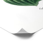 Cypripedium macranthos poster (Ecke)