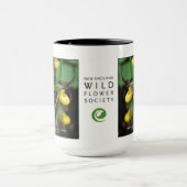 Cypripedium parviflorum, gelber Damepantoffel Tasse (Zentrum)