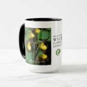 Cypripedium parviflorum, gelber Damepantoffel Tasse (Vorderseite Links)