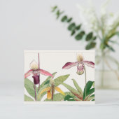 Cypripedium von Tanigami Konan Postkarte (Stehend Vorderseite)