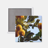 Cyprus Lemon Grove Magnet (Vorderseite/Rückseite)