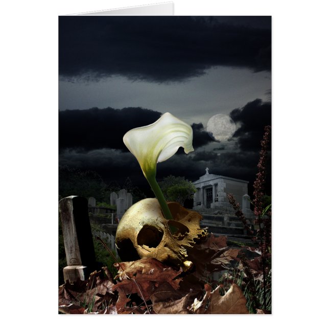 Cyrcle des Lebens (Vorne)