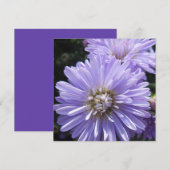 Cyren (Vorne/Hinten)