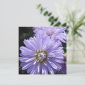 Cyren (Stehend Vorderseite)