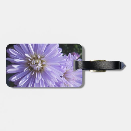 Cyren Gepäckanhänger (Rückseite horizontal)