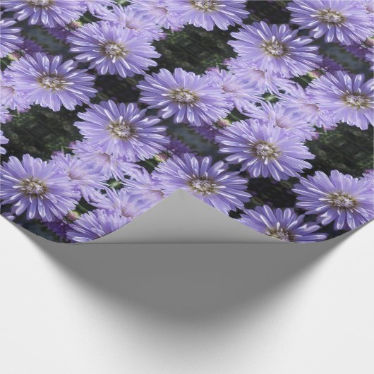 Cyren Geschenkpapier (Ecke)