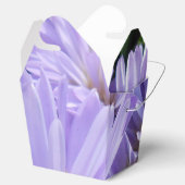 Cyren Geschenkschachtel (Geöffnet)