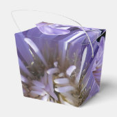 Cyren Geschenkschachtel (Rückseite)