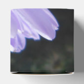 Cyren Geschenkschachtel (Oben)