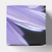 Cyren Geschenkschachtel (Oben)