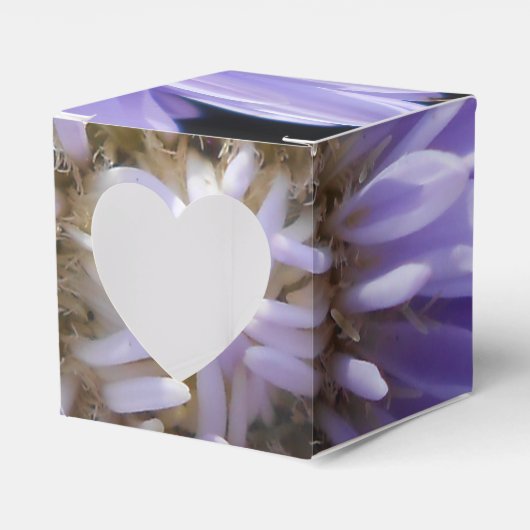 Cyren Geschenkschachtel (Vorderseite)