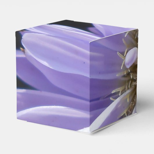 Cyren Geschenkschachtel (Rückseite)