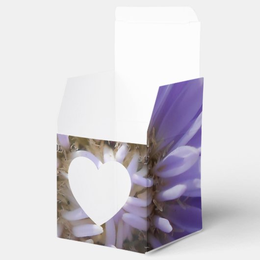 Cyren Geschenkschachtel (Geöffnet)