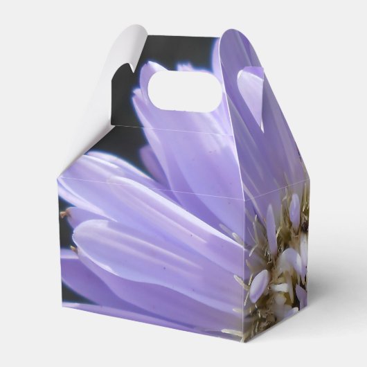 Cyren Geschenkschachtel (Rückseite)