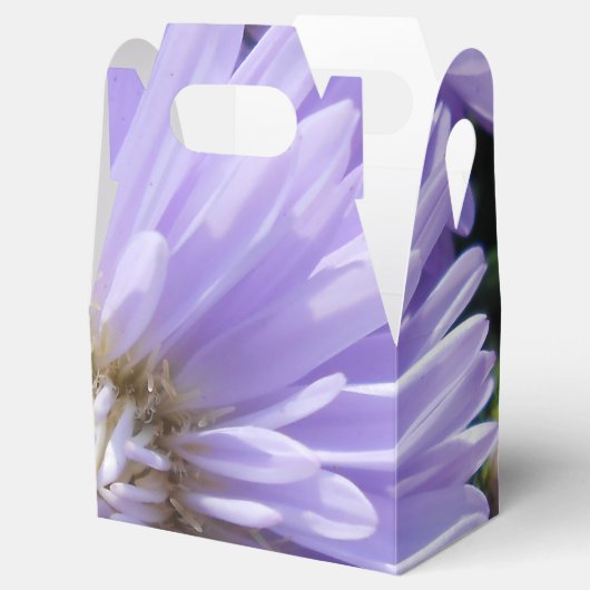 Cyren Geschenkschachtel (Geöffnet)