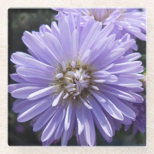 Cyren Glasuntersetzer (Vorderseite)