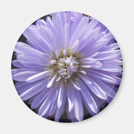 Cyren Magnet (Vorne)