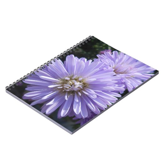 Cyren Notizblock (Linke Seite)