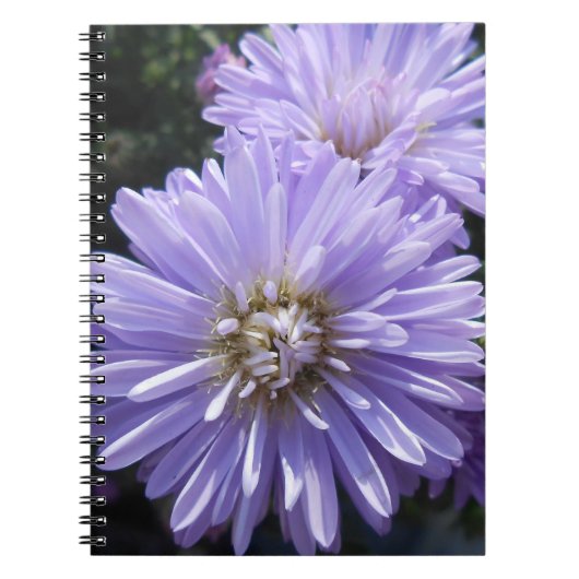 Cyren Notizblock (Vorderseite)