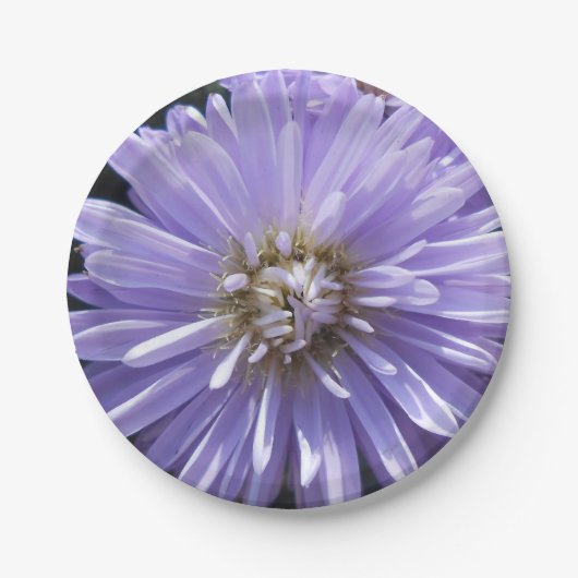 Cyren Pappteller (Vorderseite)