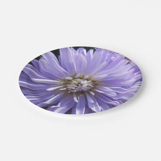 Cyren Pappteller (Schrägansicht)