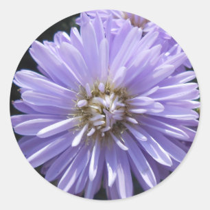 Cyren Runder Aufkleber