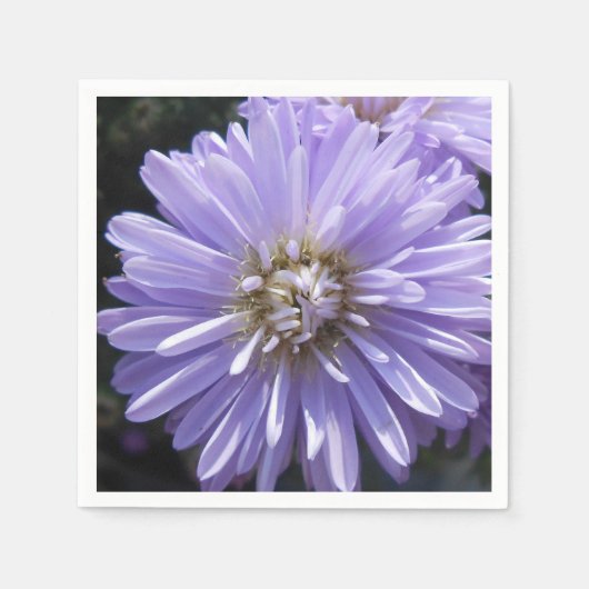 Cyren Serviette (Vorderseite)