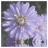 Cyren Stoff (Nahaufnahme)