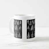 Cyrtoidea Kaffeetasse (Vorderseite Links)