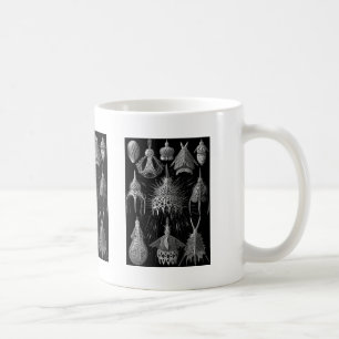 Cyrtoidea Kaffeetasse