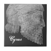 Cyrus das große fliese (Vorderseite)