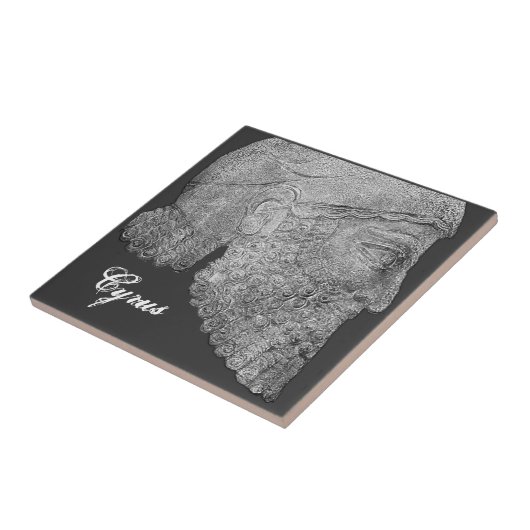 Cyrus das große fliese (Seite)