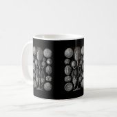 Cystoids Kaffeetasse (Vorderseite Links)