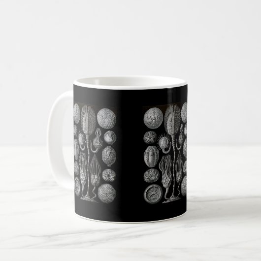 Cystoids Kaffeetasse (Vorderseite Links)