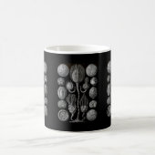Cystoids Kaffeetasse (Mittel)