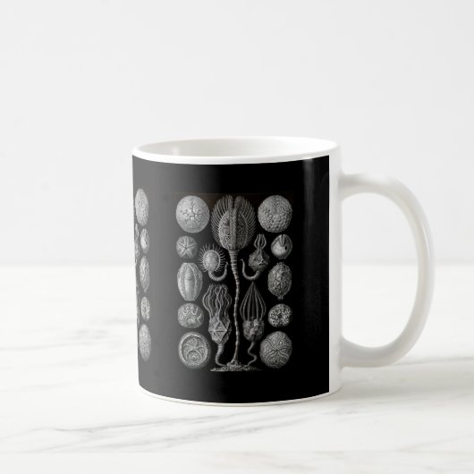 Cystoids Kaffeetasse (Rechts)